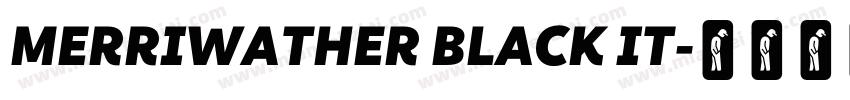 MERRIWATHER BLACK IT字体转换